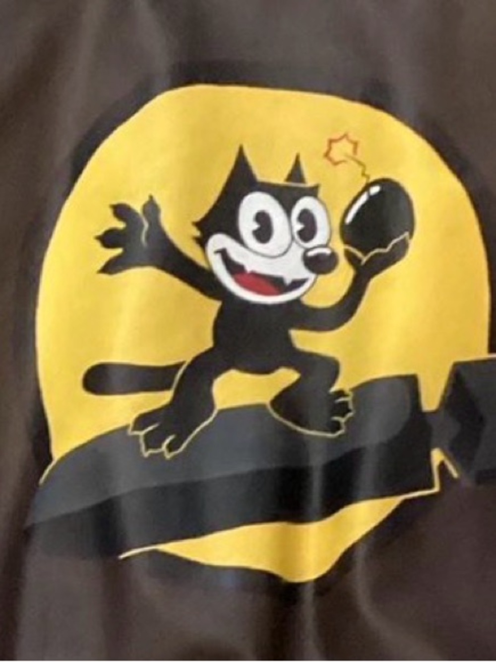 A-2 Flight Jacket Felix the Cat WW2 leather bomber hand painted